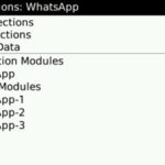 How to Get WhatsApp Messenger Work On Blackberry
