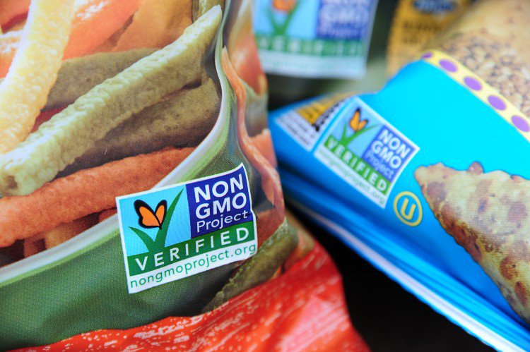 10 Scientific Studies Proving GMOs Can Be Harmful To Human Health